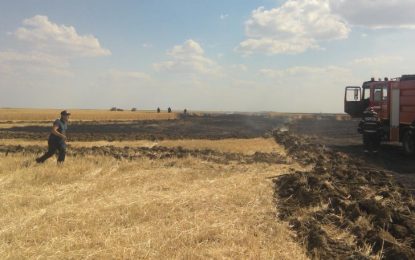 40 de hectare de grâu, arse într-un incendiu provocat