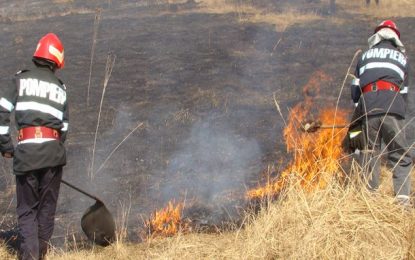 80 de hectare de vegetație uscată au ars în satul Luptători, comuna Frăsinet
