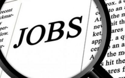 Joburi în străinătate/1455 de locuri de muncă vacante