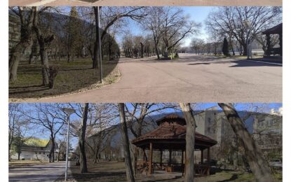 Actuala administrație a Primăriei Călărași dorește ”mutilarea” Parcului Central